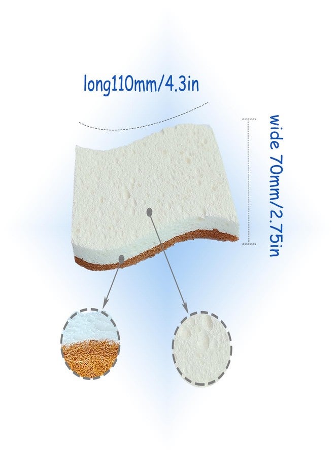 ZanXinY 12Pcs Biodegradable Natural Kitchen Sponge - Non-Scratch Dish Sponges, Biodegradable & Compostable Cellulose with Coconut Fiber Cleaning Sponge for Kitchen, Dishes, Bathroom, Household. - Image 2